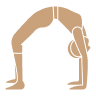 Pilates from scratch
